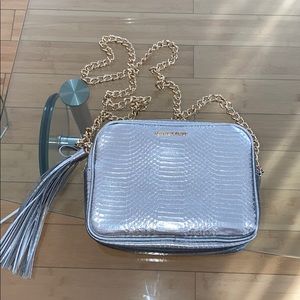 NWOT Silver Snakeskin Bag